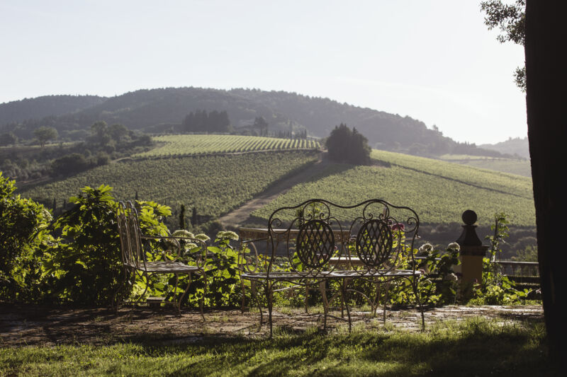 Tignanello-antinori