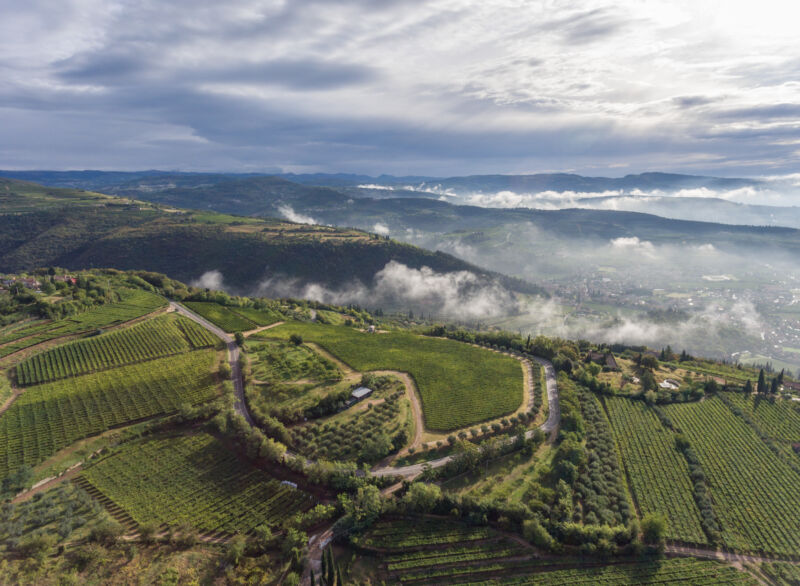 Allegrini-Valpolicella