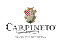 Carpineto