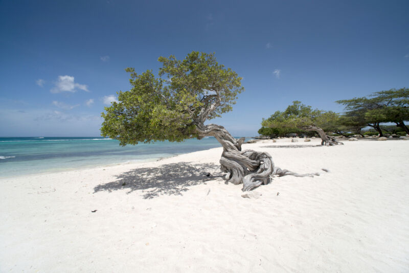 Eagle beach. Aruba