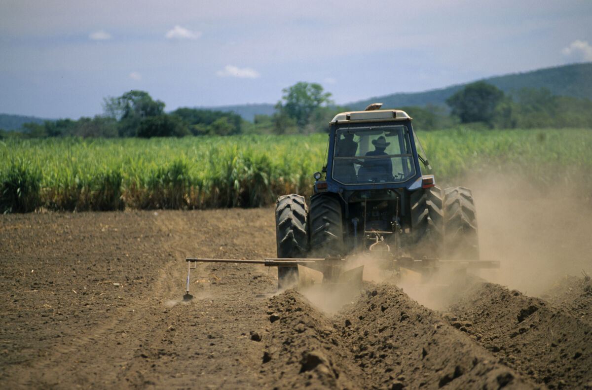 agroalimentare