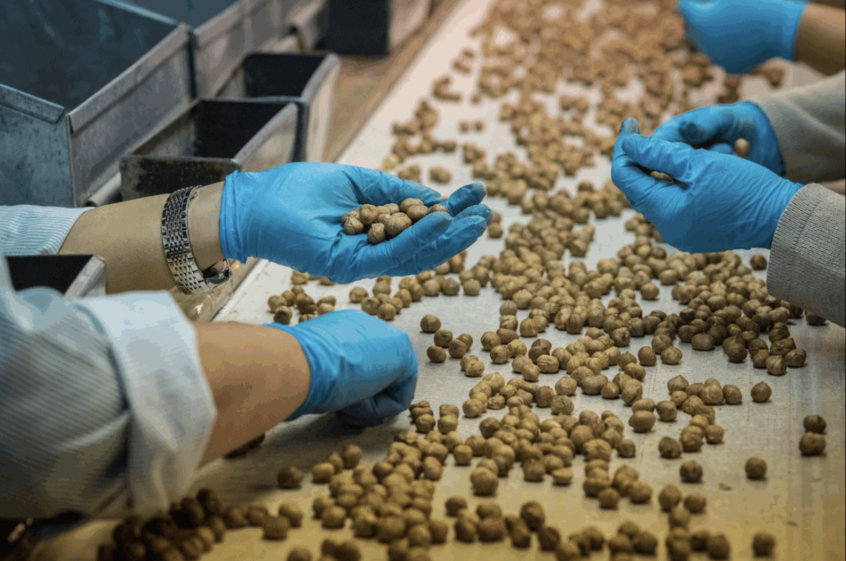 COOPERNOCCIOLE