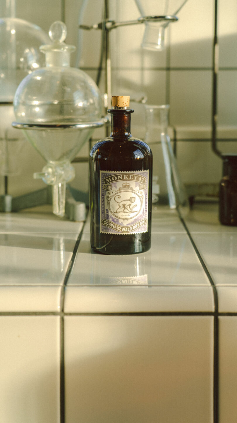 Monkey 47: nella Foresta Nera dove nasce uno dei gin più iconici del mondo