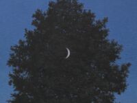 René Magritte, Zestien september, Museo Reale di Belle Arti di Anversa