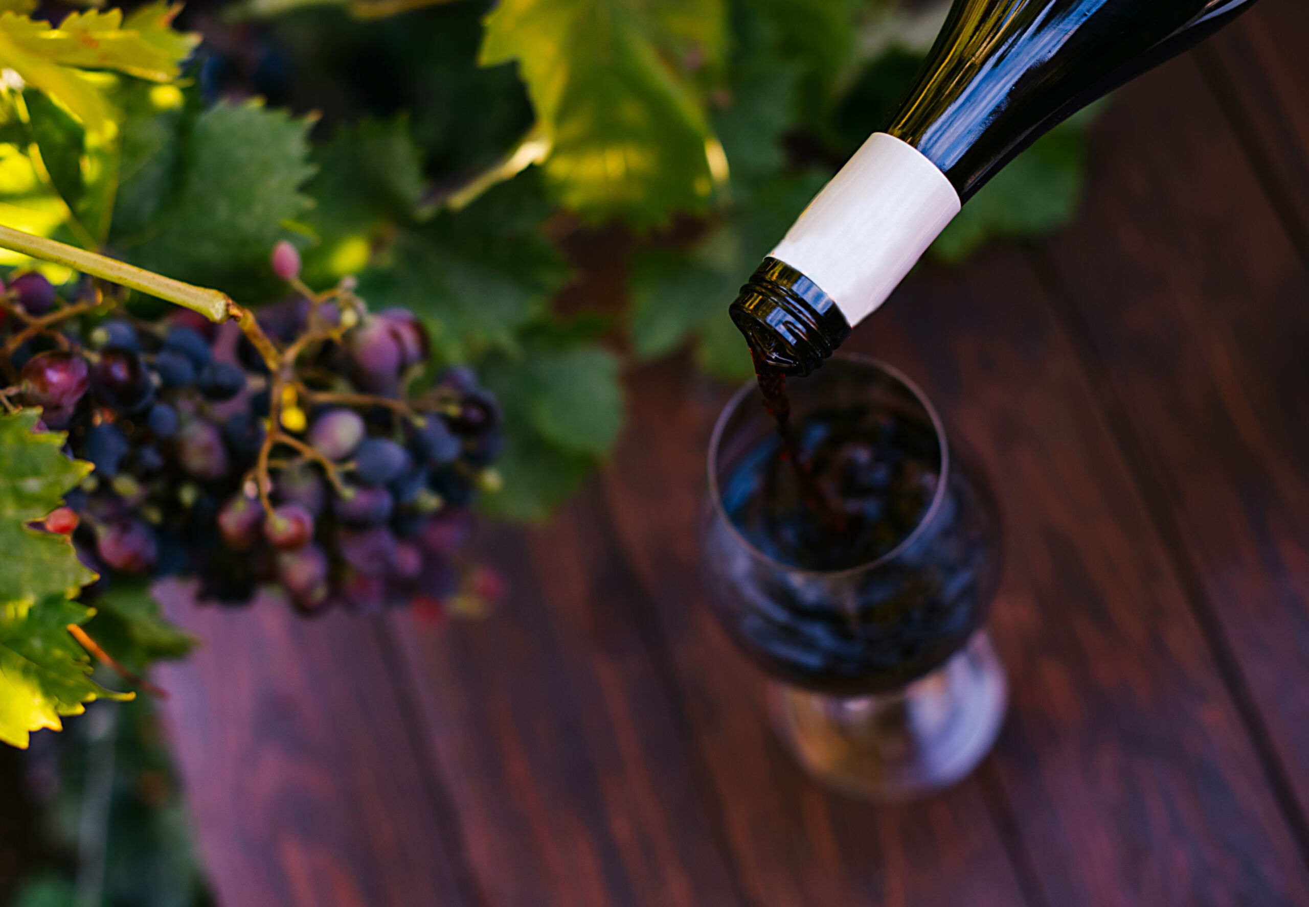 Vino italiano, il 2026 tra stagnazione dei consumi e nuovi equilibri