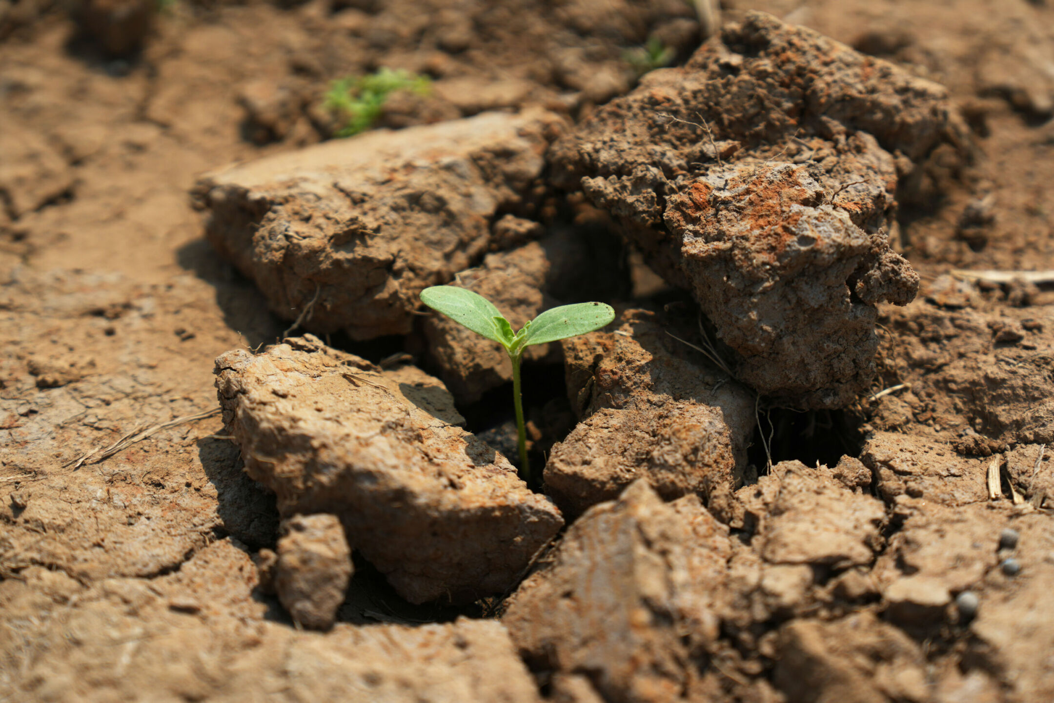Crisi climatica e Pil a rischio: perché l’Europa sta perdendo la partita del Green Deal