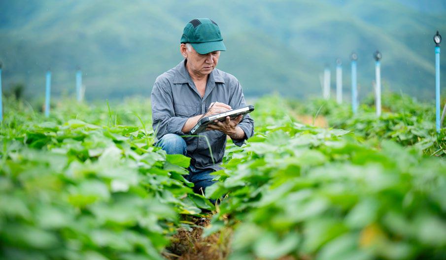 Health & Social Impact