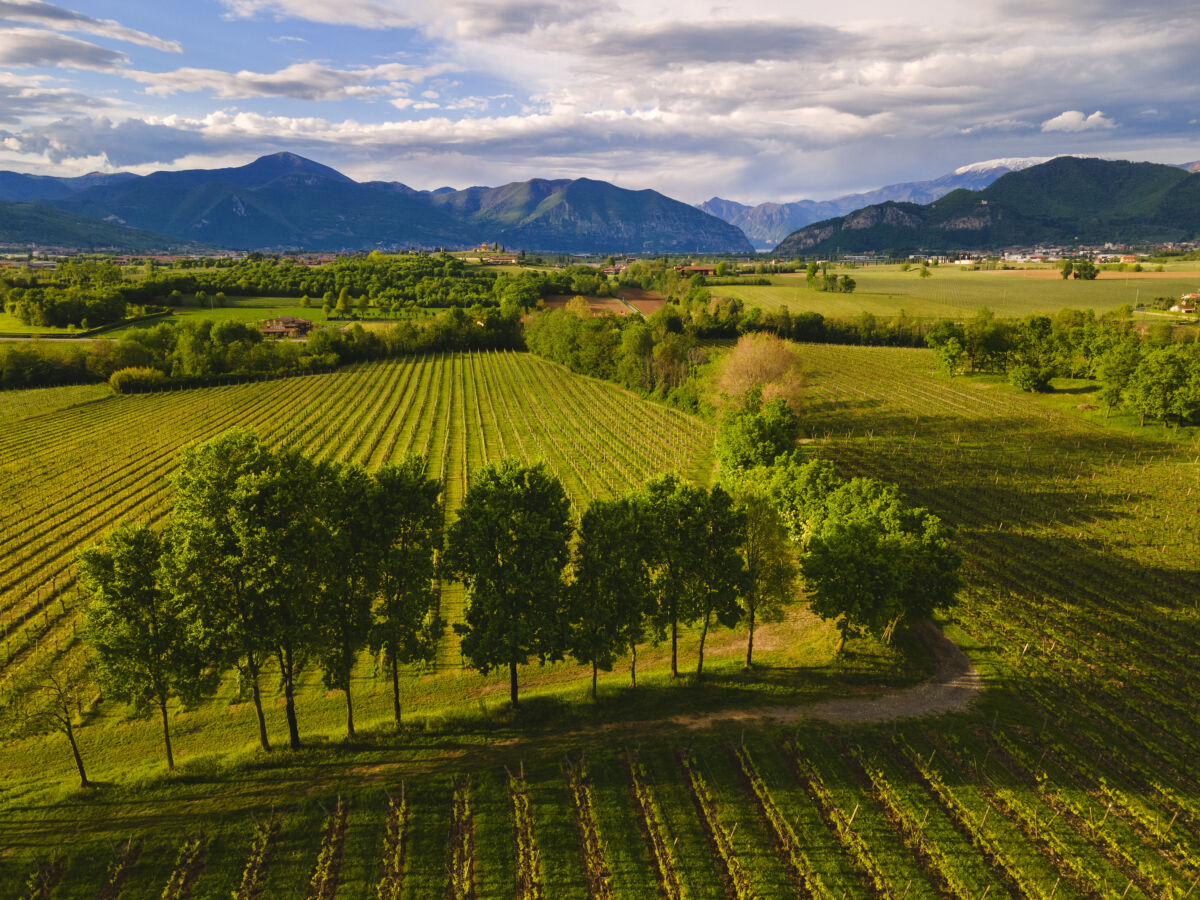 Serì, il nuovo corso di Bersi Serlini in Franciacorta