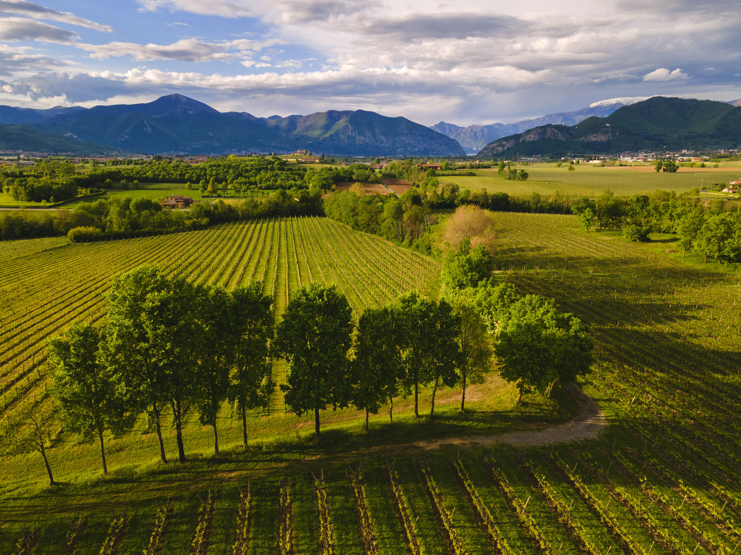Serì, il nuovo corso di Bersi Serlini in Franciacorta