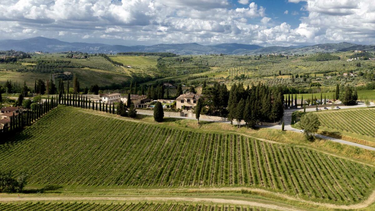 tenuta-ruffino-toscana-vino
