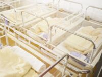 gravidanze surrogate