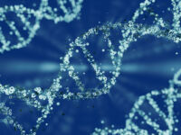 genoma, dna
