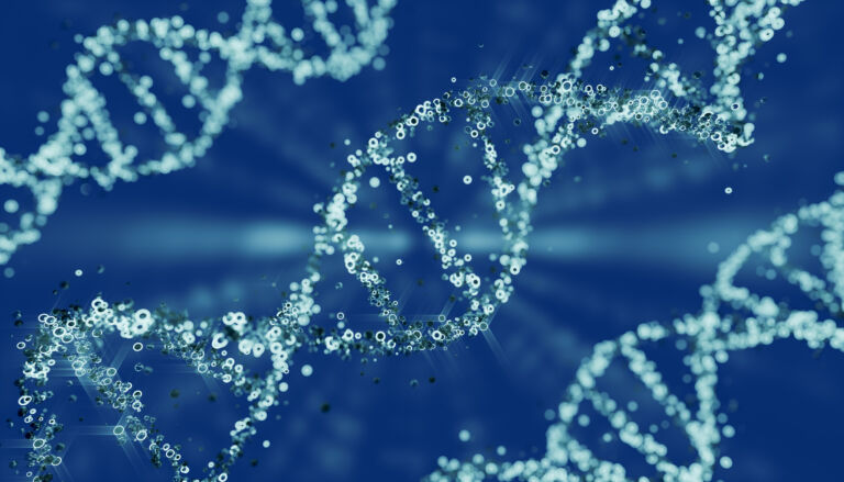 genoma, dna