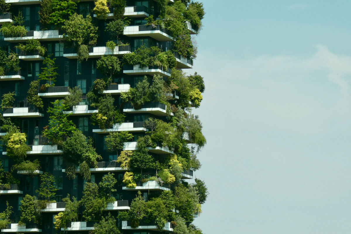 Ondate di calore, perché il verde urbano è diventato una tecnologia energetica